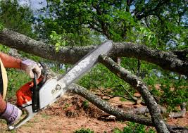 Best Aeration Services  in Penn Valley, CA